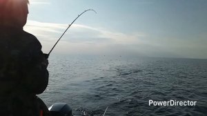 Щука и судак Ладожское озеро Свирская губа