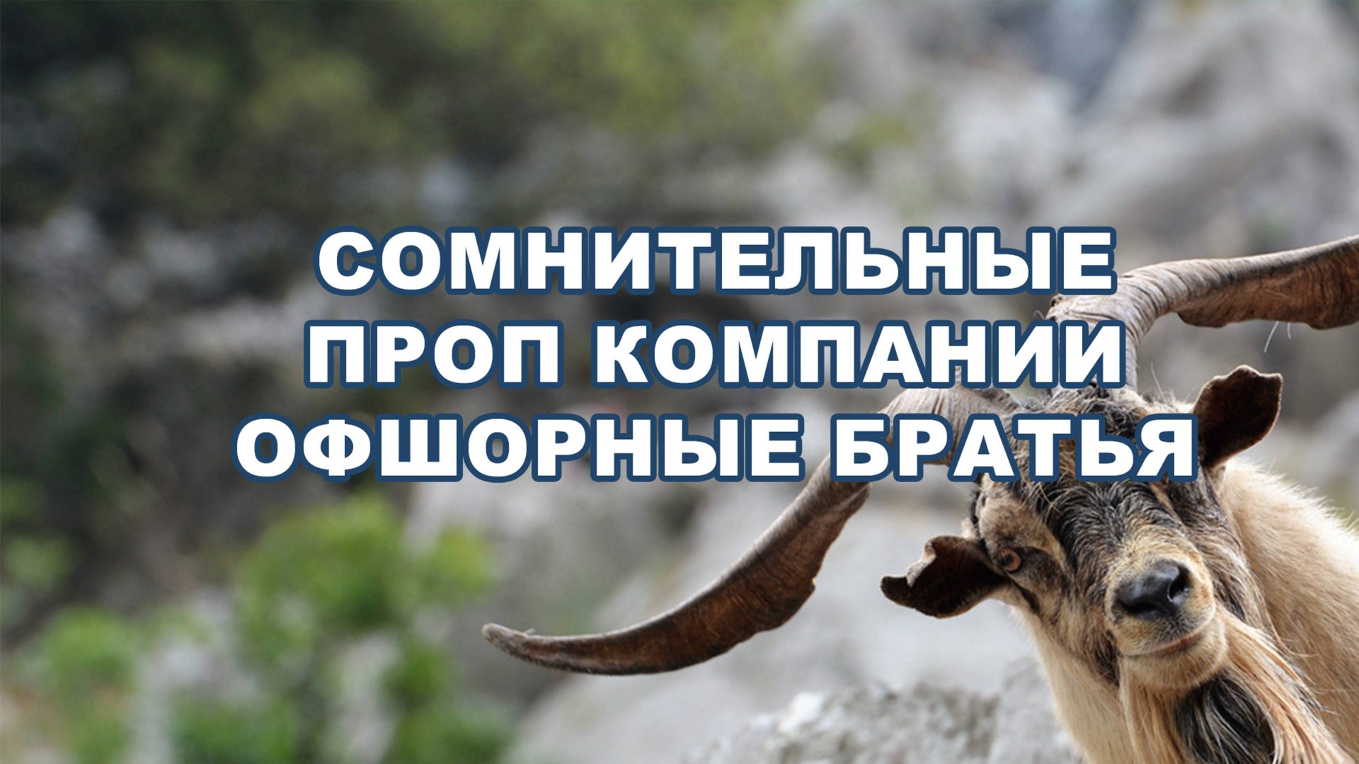 Обзор Сомнительных проп компаний Blue Guardian, Aqua Funded, Goat Funded Trader #проптрейдинг