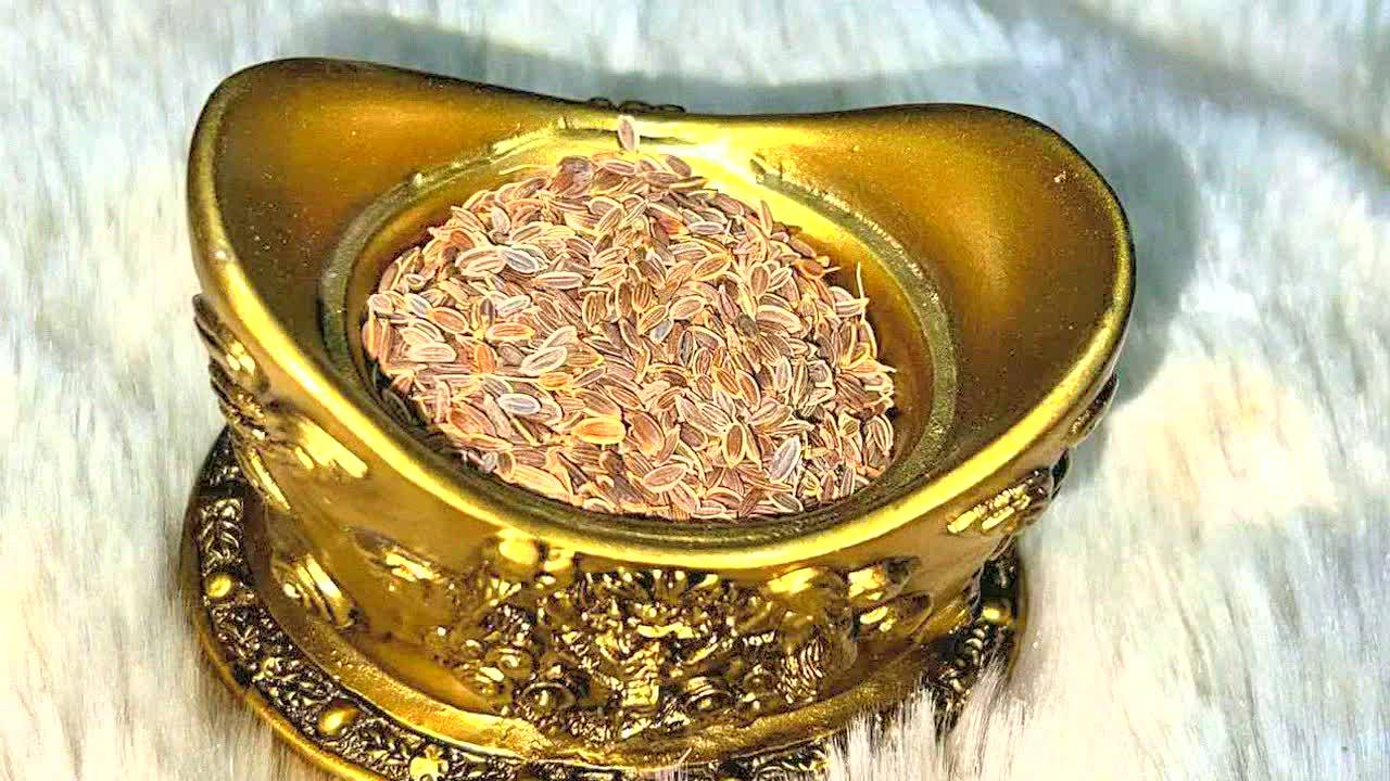 Укропная вода – секрет долголетия! Дедушка пил и прожил 100 лет! Избавился от давления, запоров!