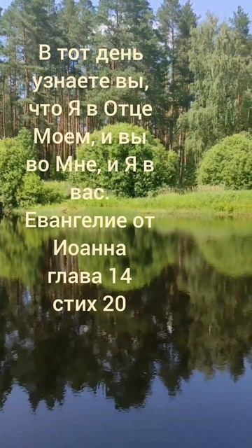 Евангелие от Иоанна глава 14 стих 20 смотреть онлайн