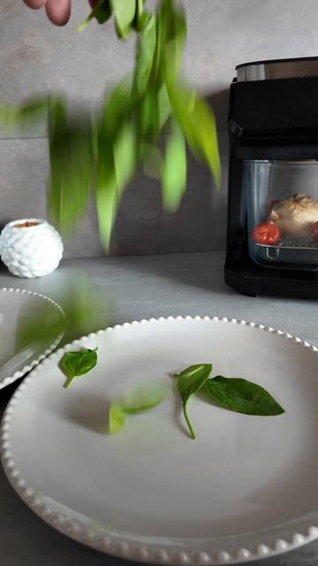 КУРИНЫЙ СТЕЙК В АЭРОГРИЛЕ