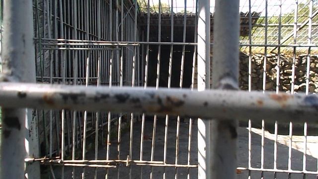 DSCN8115Домбай,канатка,Теберда,зоопарк июнь 2025