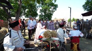 Выходил на поля молодой агроном. Ансамбль Колос. 4K(UHD).