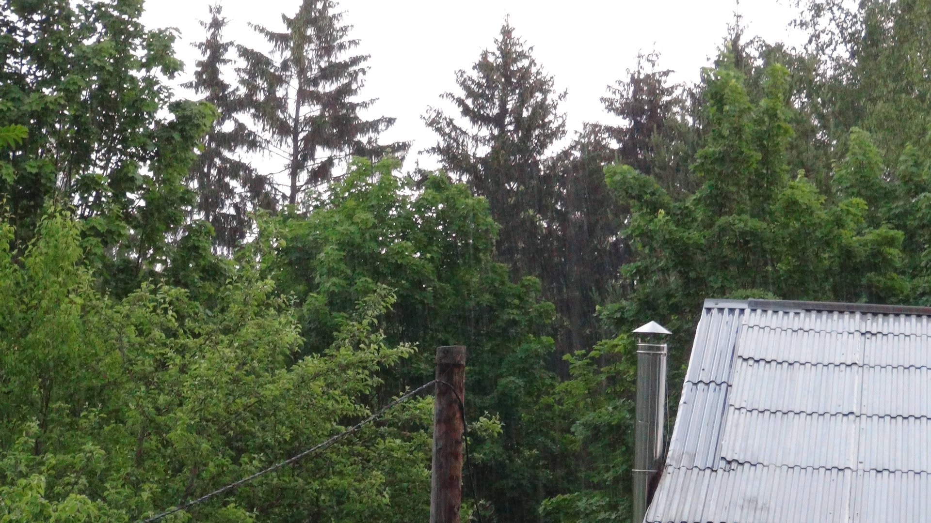 Вальс дождя смотреть онлайн