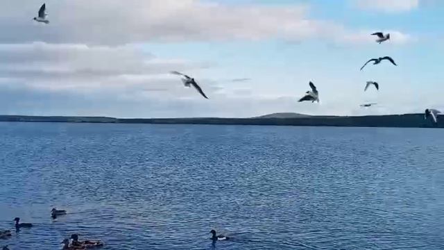 Апатиты // озеро Имандра смотреть онлайн