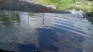 Катаем с Владиславом на Kayo Au 200