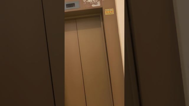 Видова 65 кв 113