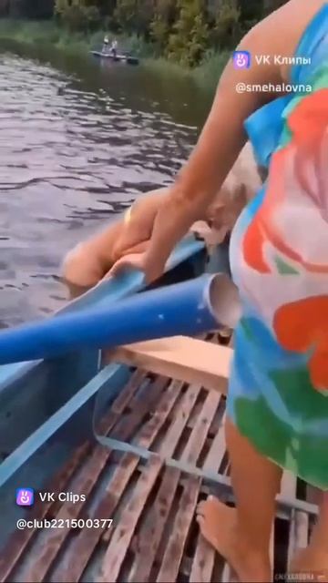 ЮМОР! 🙂 смотреть онлайн