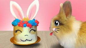 Праздничный торт для питомца 🍰 Готовим вместе!