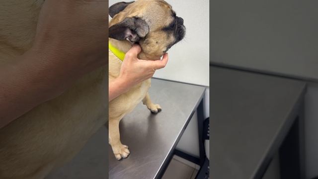 День 48. Нерожденные дети