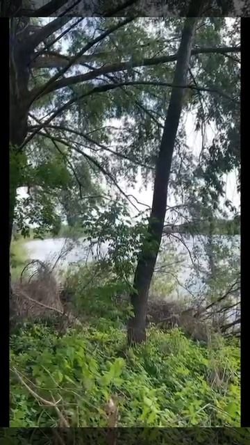 позитивчик🎼🎼🎼🎼 смотреть онлайн