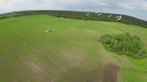 Завораживающее зрелище! Стая журавлей.
 Сегодня снова в небо, и вот такой подарок от природы!