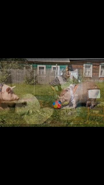 КАПУСТА 22 смотреть онлайн