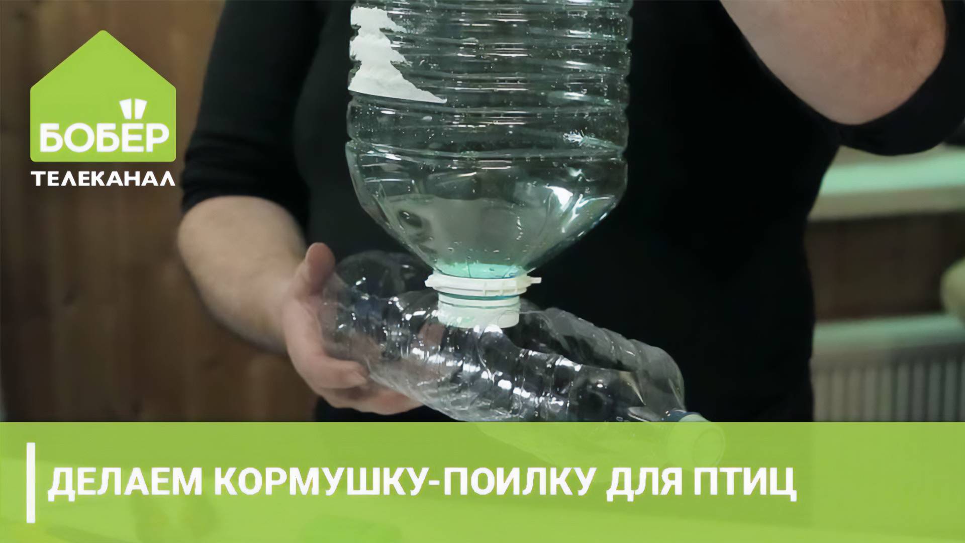 ПТИЦЕВОДСТВО. Делаем кормушку-поилку для птиц. Советы опытного фермера смотреть онлайн