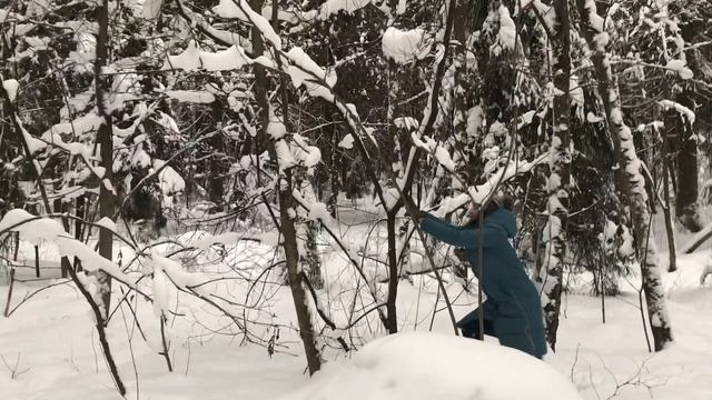 Гуляем в снежном парке / Мироша читает стихи Пушкина / Катаемся на санках и ватрушке смотреть онлайн