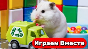 ОГРОМНЫЙ Лабиринт с ловушками для Умного Хомяка ! Играем вместе ! Видео для детей