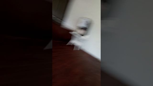 ~мой отель FIOLETO 💜~