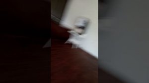 ~мой отель FIOLETO 💜~