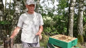 сотовый мед без вощины