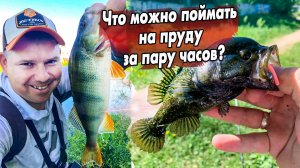 Микроджиг на проточных прудах! Ловля окуня и ротана на приманки Jara Baits
