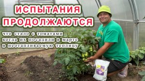 Никто в ЭТО не верил, а у меня всё получилось