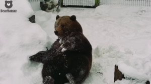Кипер Дима привел друга для Мансура