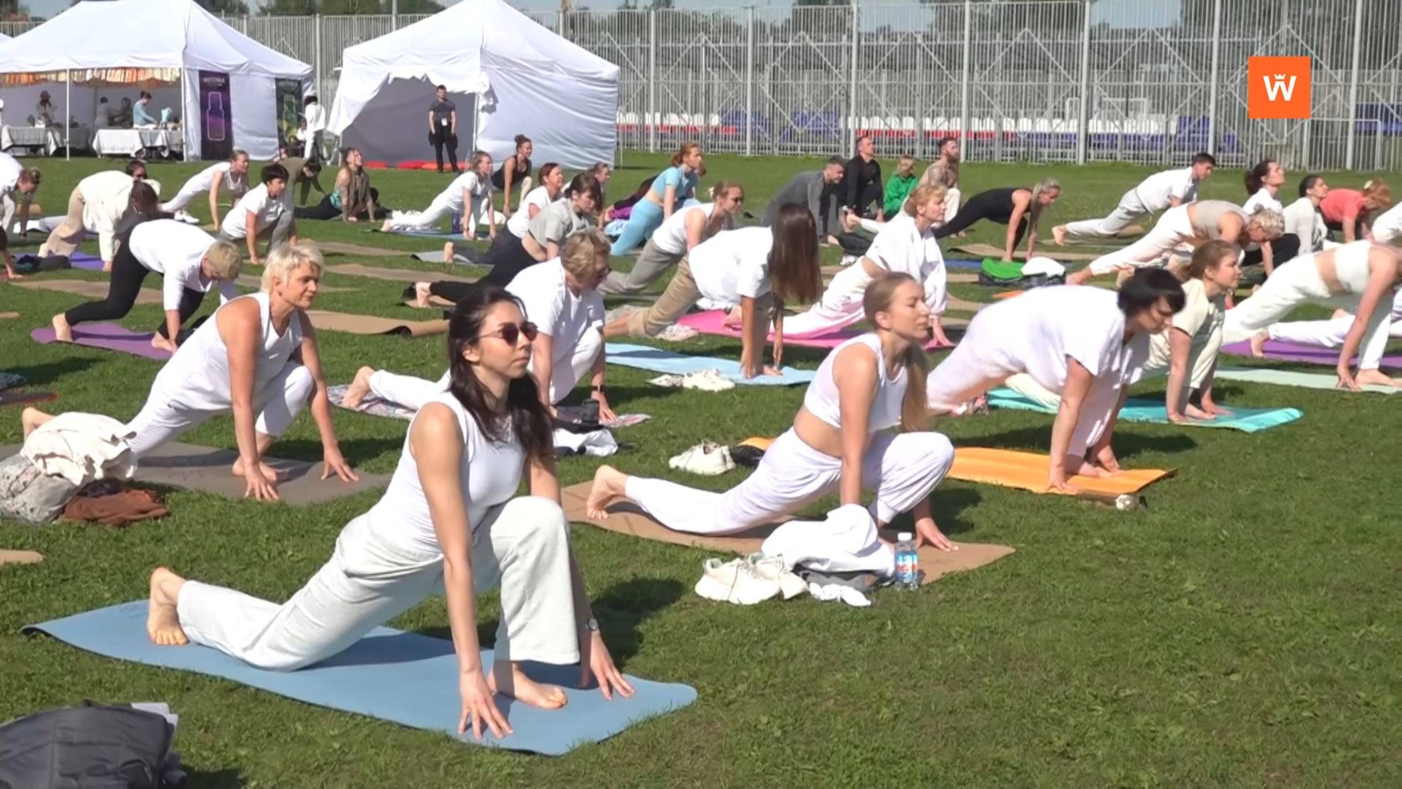 Программа «Город. Новости по-выборгски» от 24 июня 2025 года смотреть онлайн