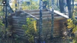 Медведю Мансуру построили сказочный домик