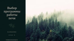 Sangens L Как выбрать программу