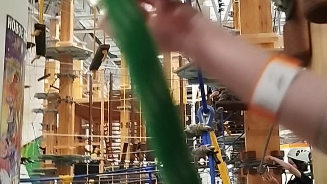 физическая культура и спорт , биохакинг