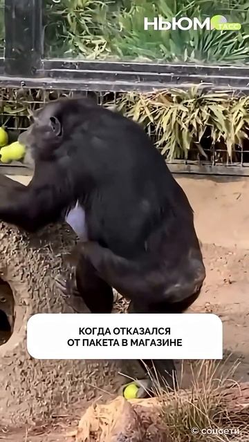  смотреть онлайн