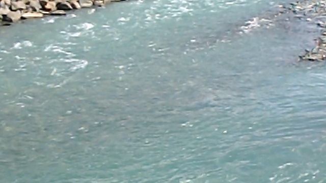 DSCN8125Домбай,канатка,Теберда,зоопарк июнь 2025