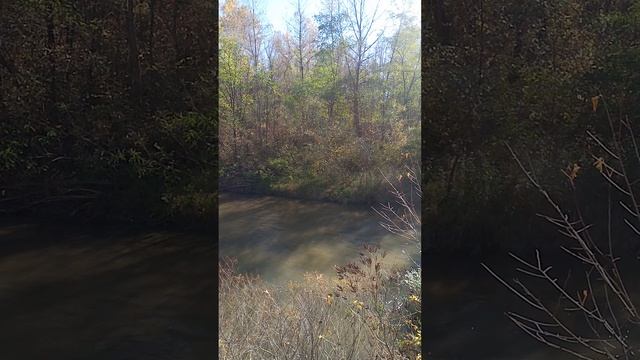 О.Бендер: Сбылась мечта идиота...