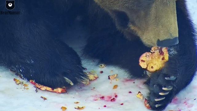 Как правильно есть гранат. Мансур покажет