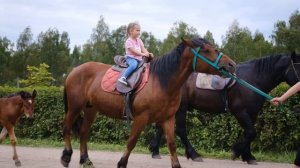 Отдых в гостевом доме Волжский Фермер на ферме неподалеку от Мышкина