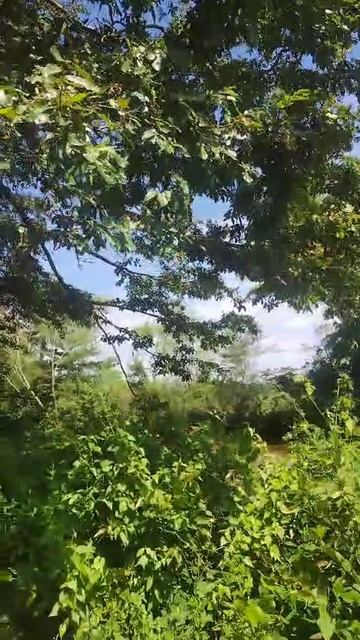 Красивая природа смотреть онлайн