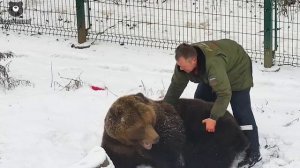 Кому осмотр шубки, а кому массаж пузика