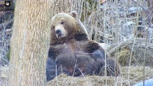 Когда просто вырубает...невозможно сопротивляться