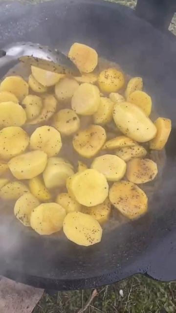 Ребрышки с картошкой в садже: картошка + свиные ребра + помидоры + зелень + специи и соль