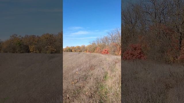 Природный амфитеатр