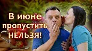 Урожай без химии: УЖЕ ЭТИМ ЛЕТОМ!