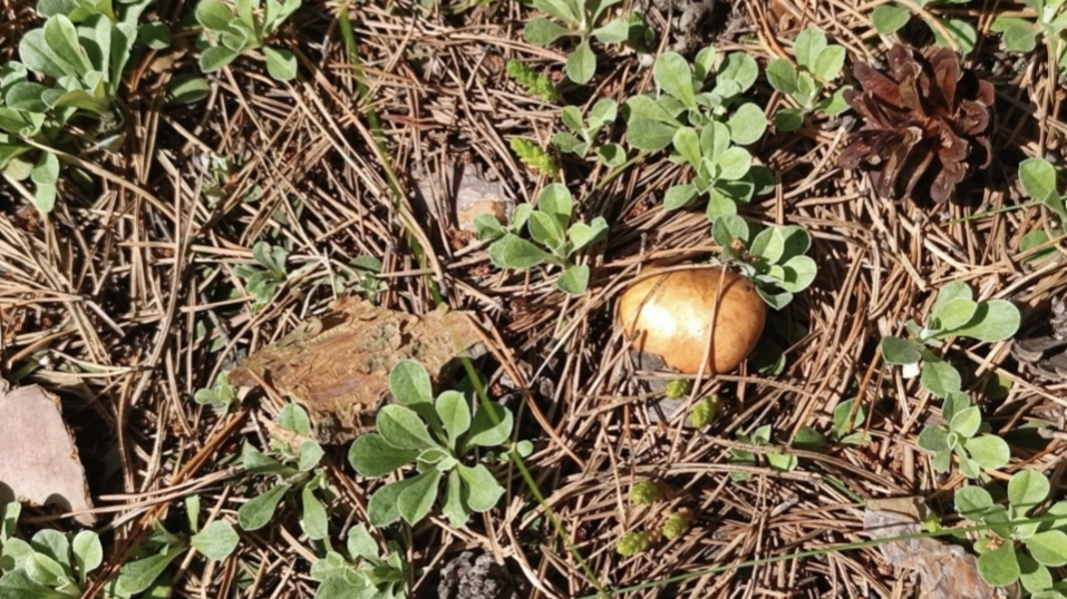 25-06-2025💥Влог💥среда смотреть онлайн