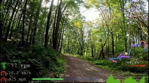 Видео для велотренажёра -  Indoor Cycling Workout Speed Display 4К