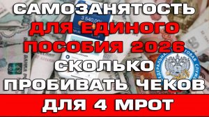 Самозанятость для Единого пособия 2026 Сколько пробивать чеков