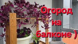 25-06-2025 Купила, не устояла // Разбираюсь с озоном.