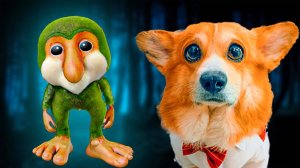 НАМ ПОДБРОСИЛИ МАЛЫША БРР БРР ПАТАПИМ!! Корги Коржик Говорящая собака