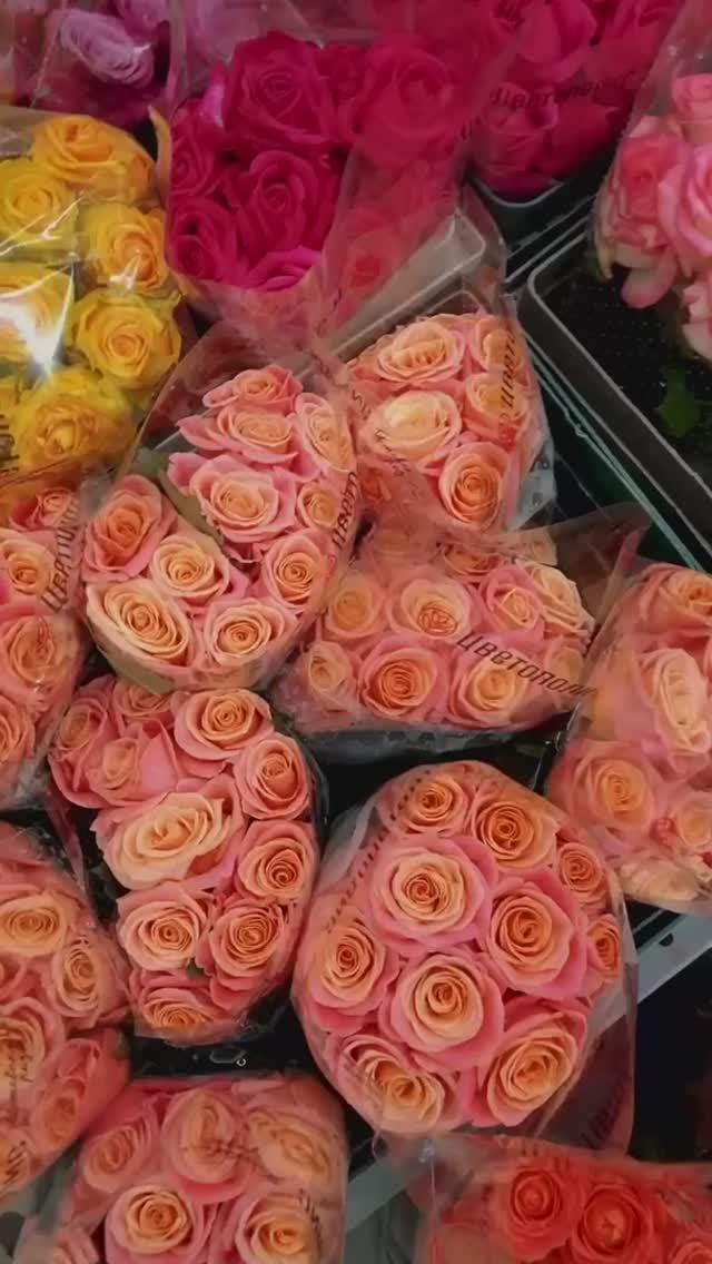 Цветочная база "Рускус" смотреть онлайн