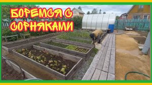 20/6 25 ОБЕЩАЮТ ОТ НУЛЯ ДО МИНУСА. АНОМАЛЬНАЯ ЗОНА. РАЗДЕЛЕНИЕ ТРУДА.