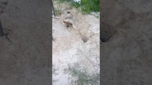 малышка развлекается)