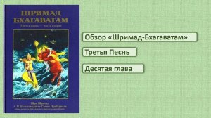 Обзор ШБ 3.10